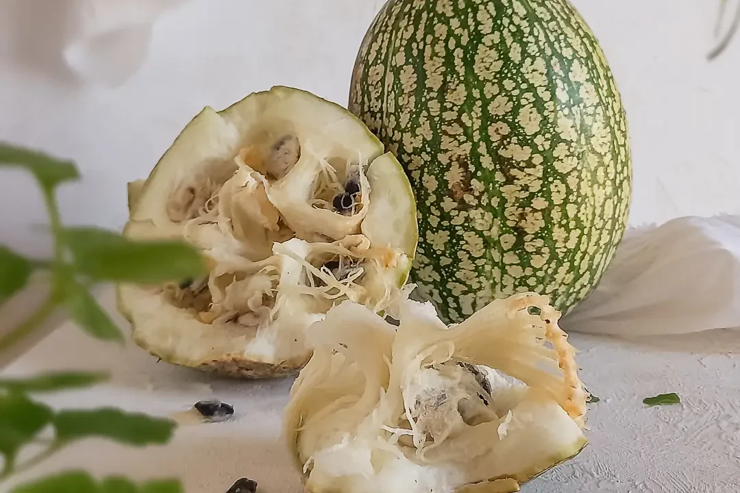 receita-creme-de-abobora-gourmet