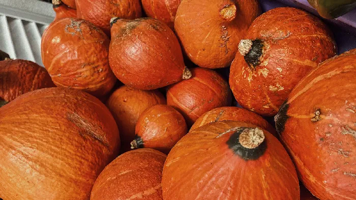 receita-creme-de-abobora-gourmet